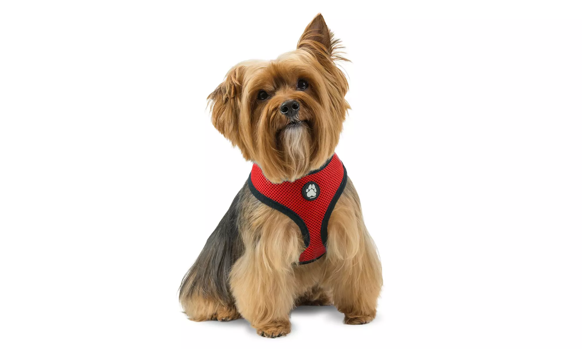 FurHaven Pet Easy Comfort Mesh Dog Harness