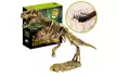 Dinosaur Toys Science Educational Dig Kit, Dinosaur Fossil Excavation Kits - Second Medium