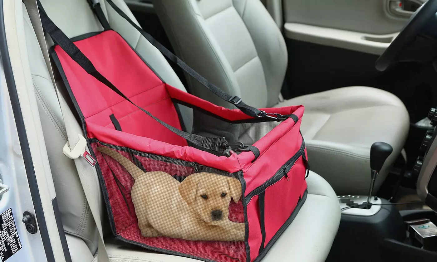 iMounTEK Dog Booster Car Seat with Clip-on Safety Leash & Storage Pocket - Primary Image