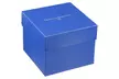 Technomarine TM-118125 Cruise Men's 46mm Chronograph Gold-Tone Blue Dial Watch - Second Medium