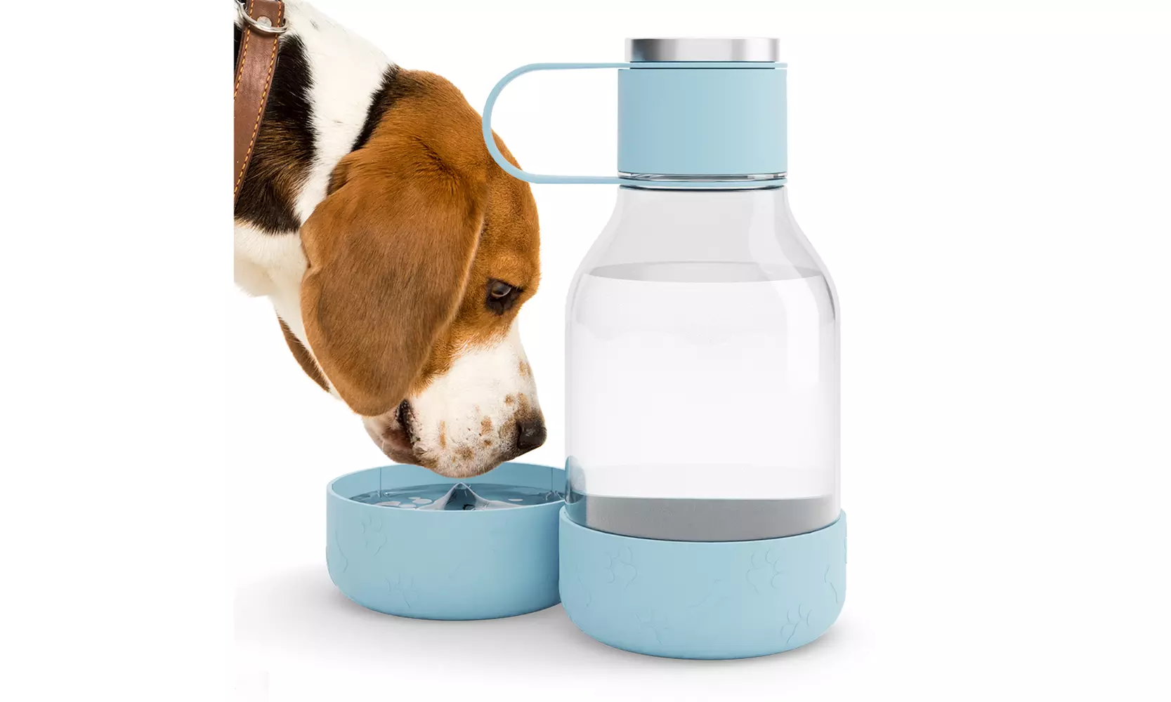 Asobu Tritan Water Bottle with Dog Bowl Attached- 50 Ounces