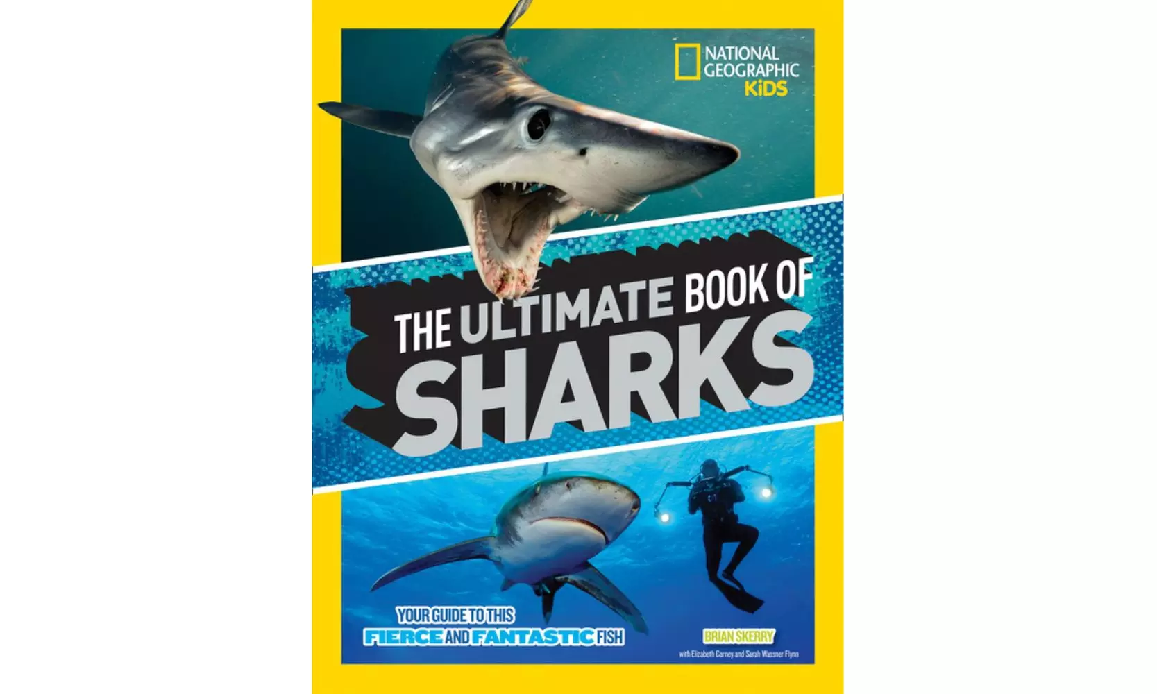 The Ultimate Book of Sharks - Primary Image
