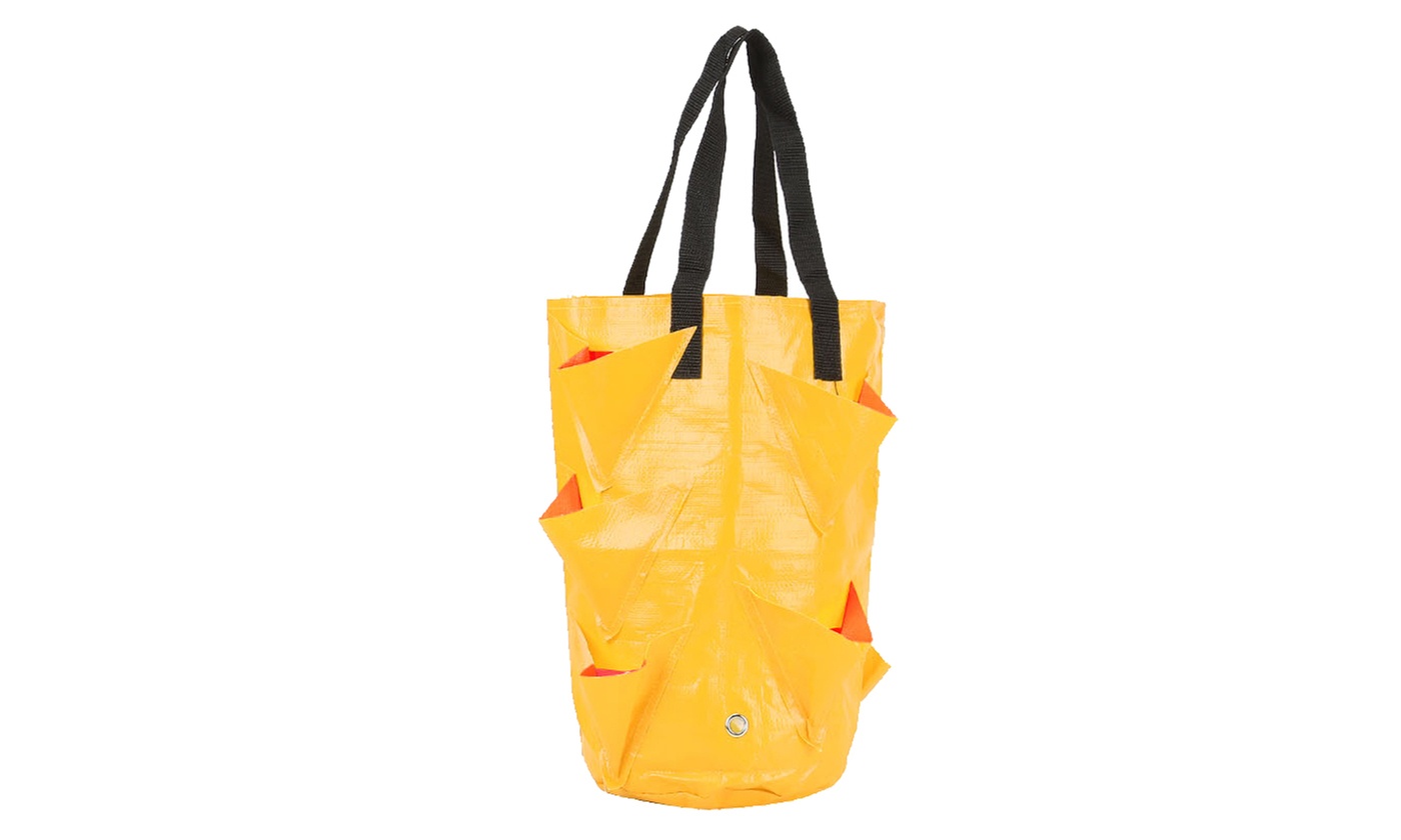 3 Gallon Strawberry Grow Bag Strawberry Plant Bag with 8 Side Planting Pockets