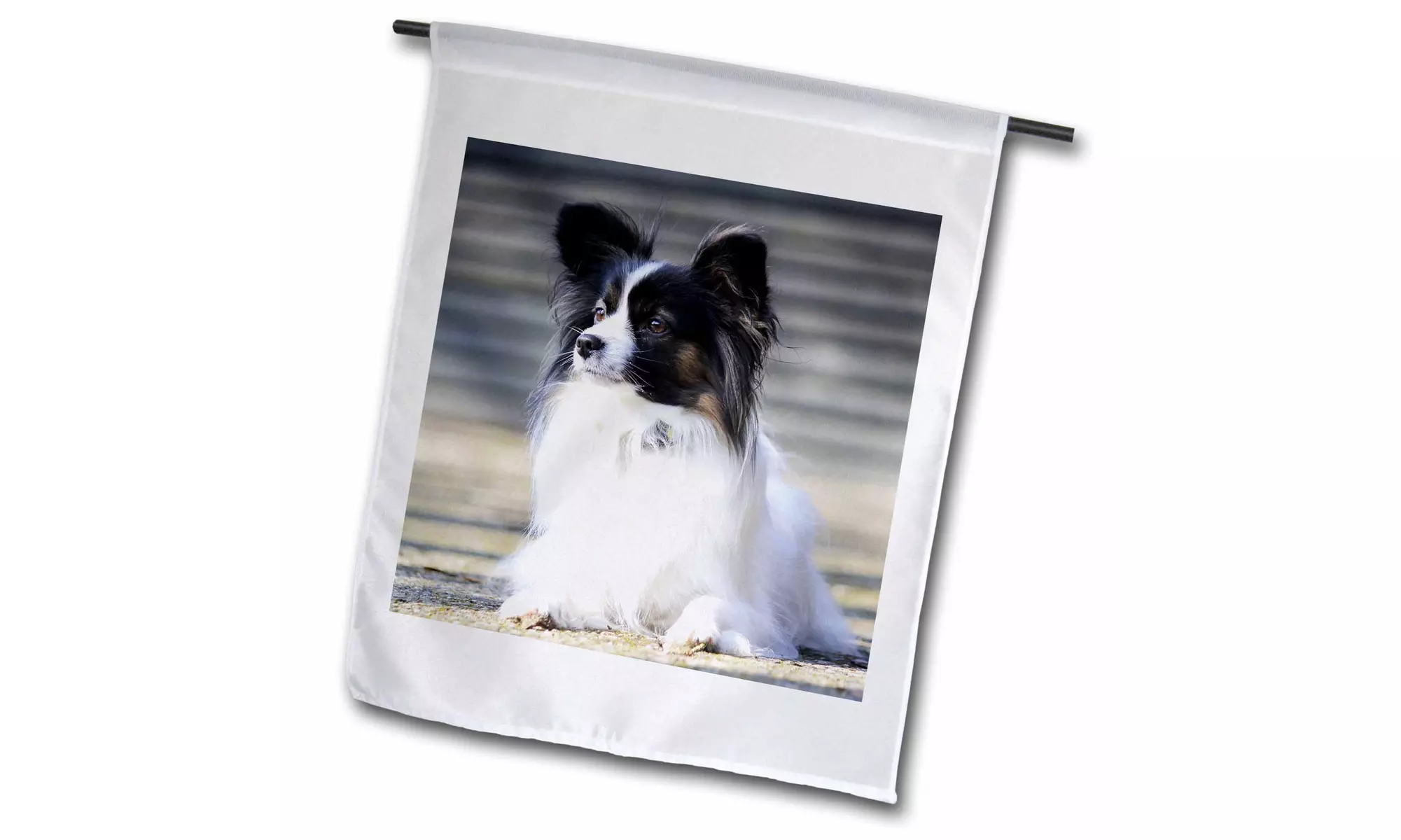  Garden Flag Papillon. Cute little puppy. - 18 by 27-inches  - Primary Image