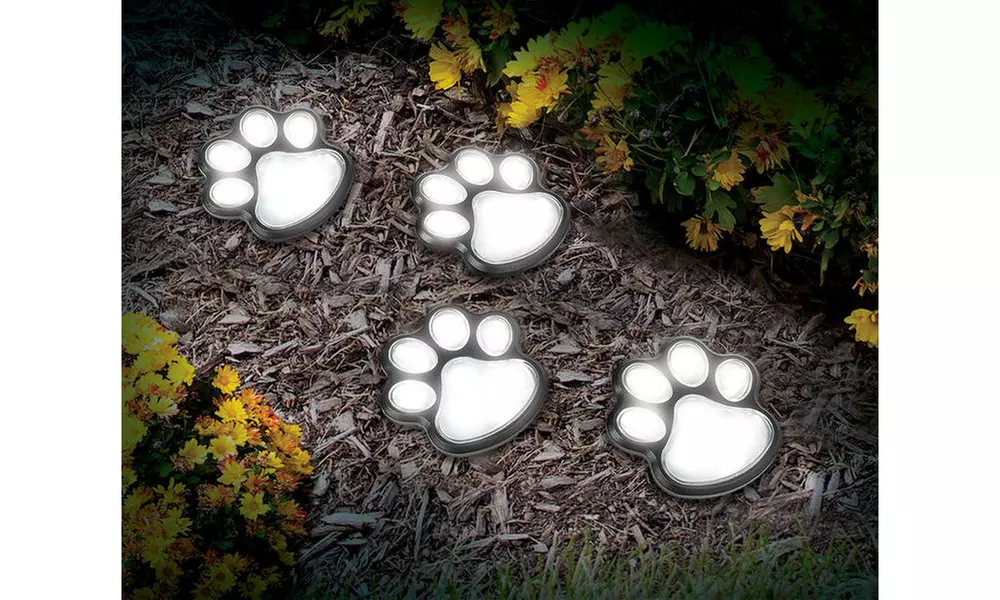 S/4 Solar Paw Print Lights - Second Medium