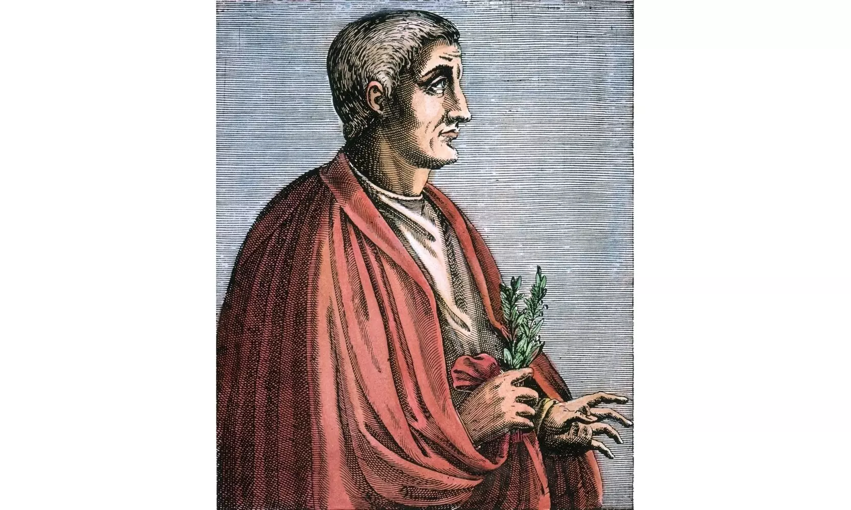 Horace (65-8 B.C.). Nfull Name Quintus Horatius Flaccus. Roman Poet And Satirist - Primary Image