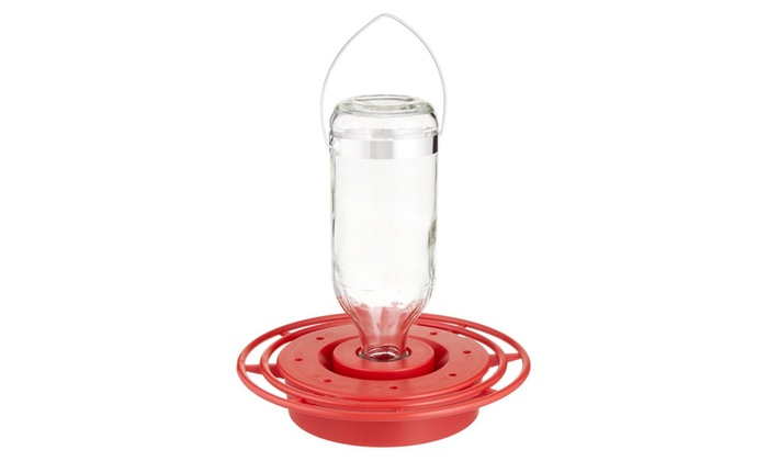 Best 1 Best8gp 8 Oz Hummingbird Feeder Boxed Groupon
