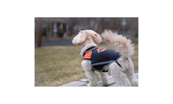 Battery heated dog outlet jacket