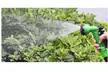 Expandable Garden Hose and Nozzle Attachment - 50/100FT - Second Medium