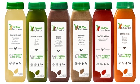 RAW Fountain - Protein Juice Cleanse Detox - Natural & RAW 3 5 7 Day 1 DAY