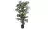 Nearly Natural 5289 6.5ft. Golden Cane Palm Silk Tree