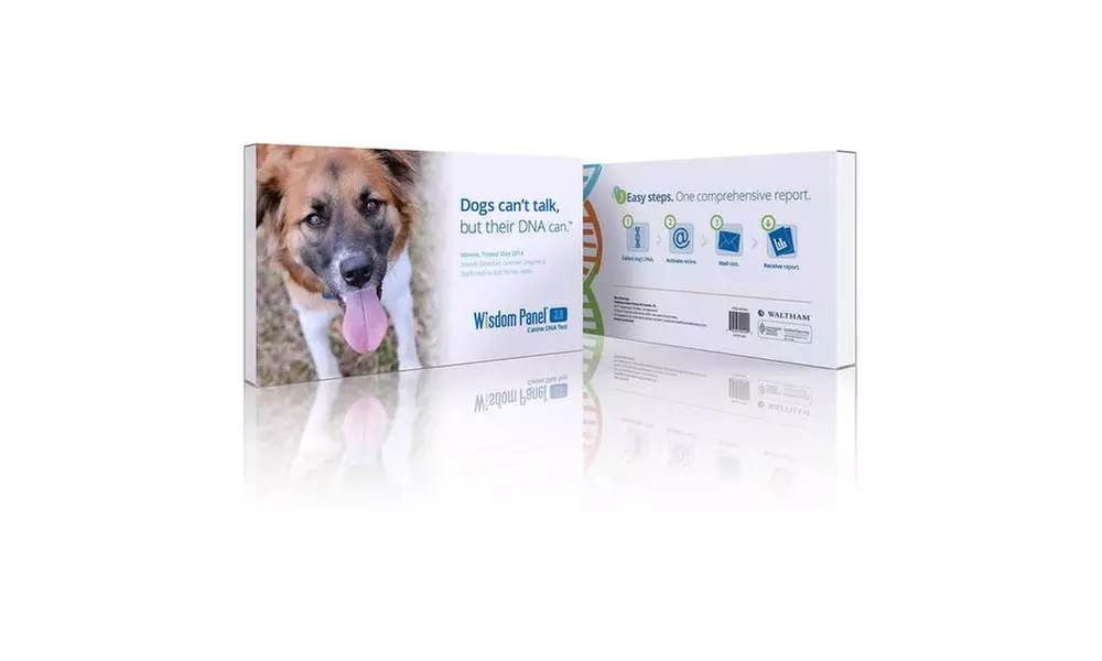 Mars Veterinary Wisdom Panel 3.0 Canine DNA Test - Primary Image
