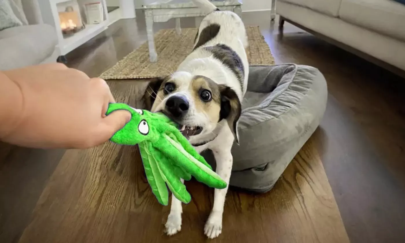  iMounTEK Octopus Squeaky Dog Toys No-Stuffing Crinkle Plush for All Dogs (2pk)