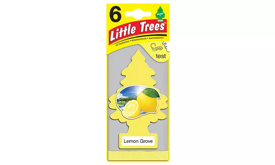 Little Trees Automotive Air Fresheners (6-Pack)
