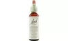 Bach Flower Remedies Centaury
