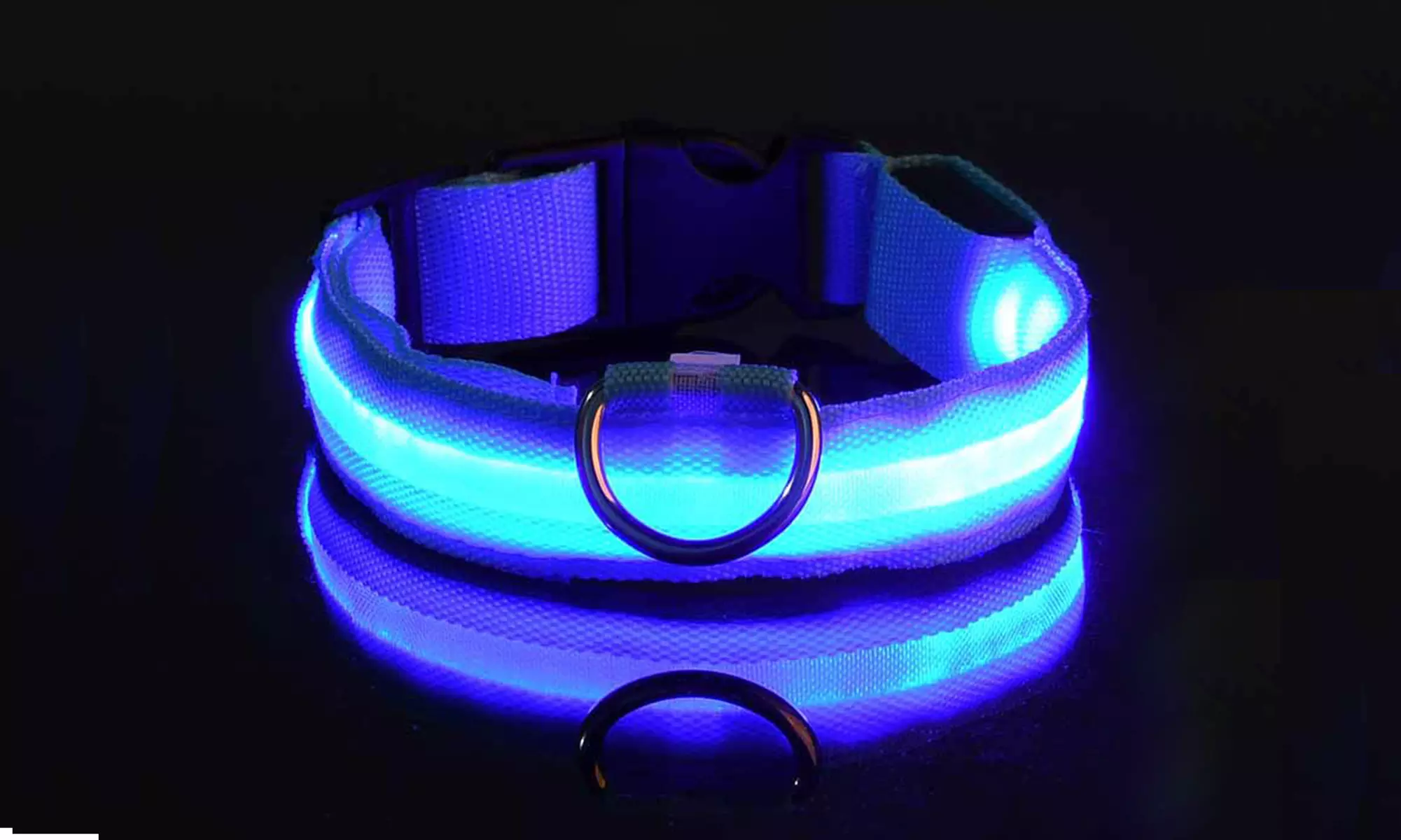 SAFETY LED Dog Pet Light Up Collar Night Glow Adjustable Bright 5 Color Leash