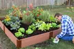 Classic Sienna Raised Garden Bed, 8 ft. x 8 ft. x 11 in. (1 inch profile) - Second Medium