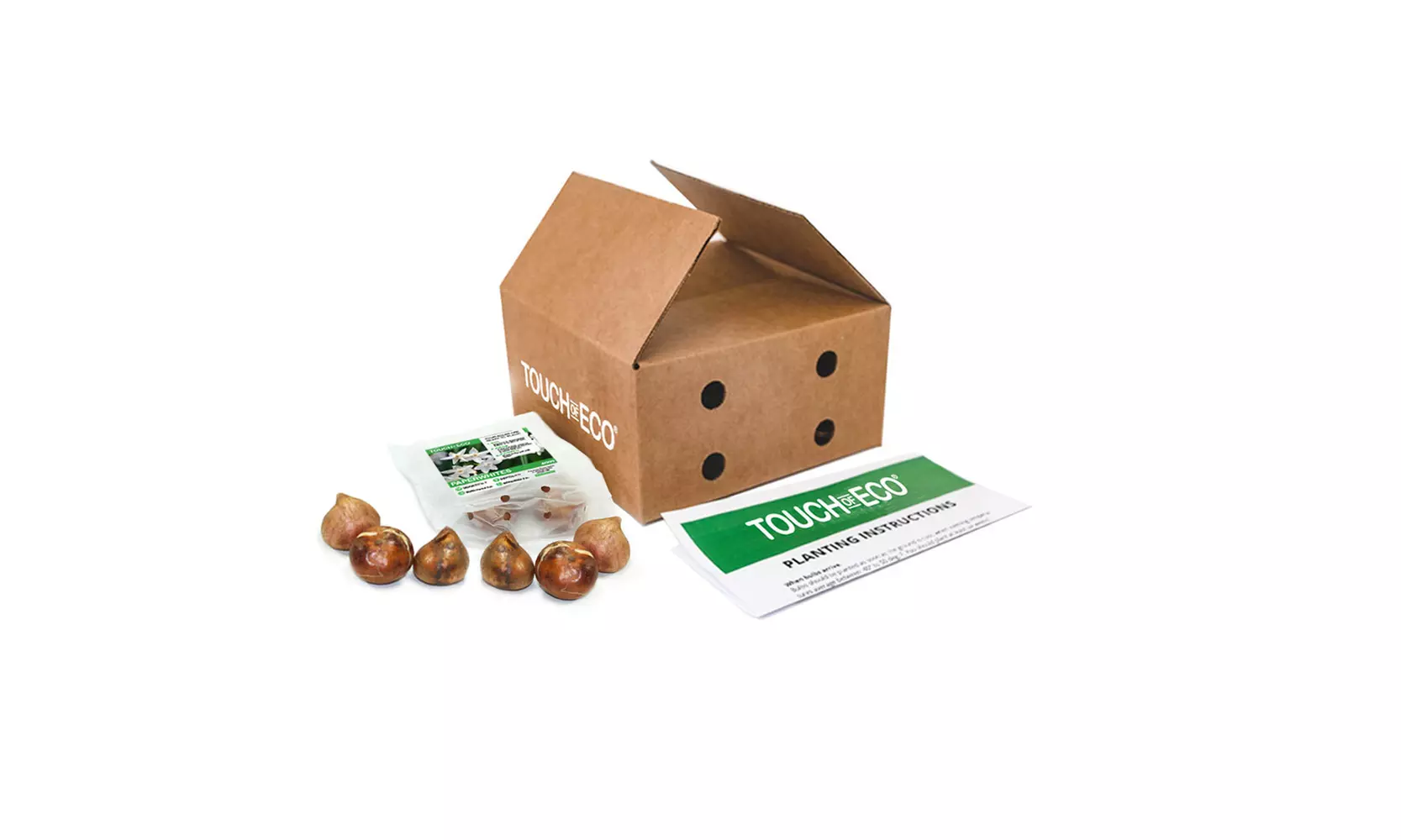Up to 24 Touch Of ECO Sweetly Fragrant Paperwhite Flower Bulbs