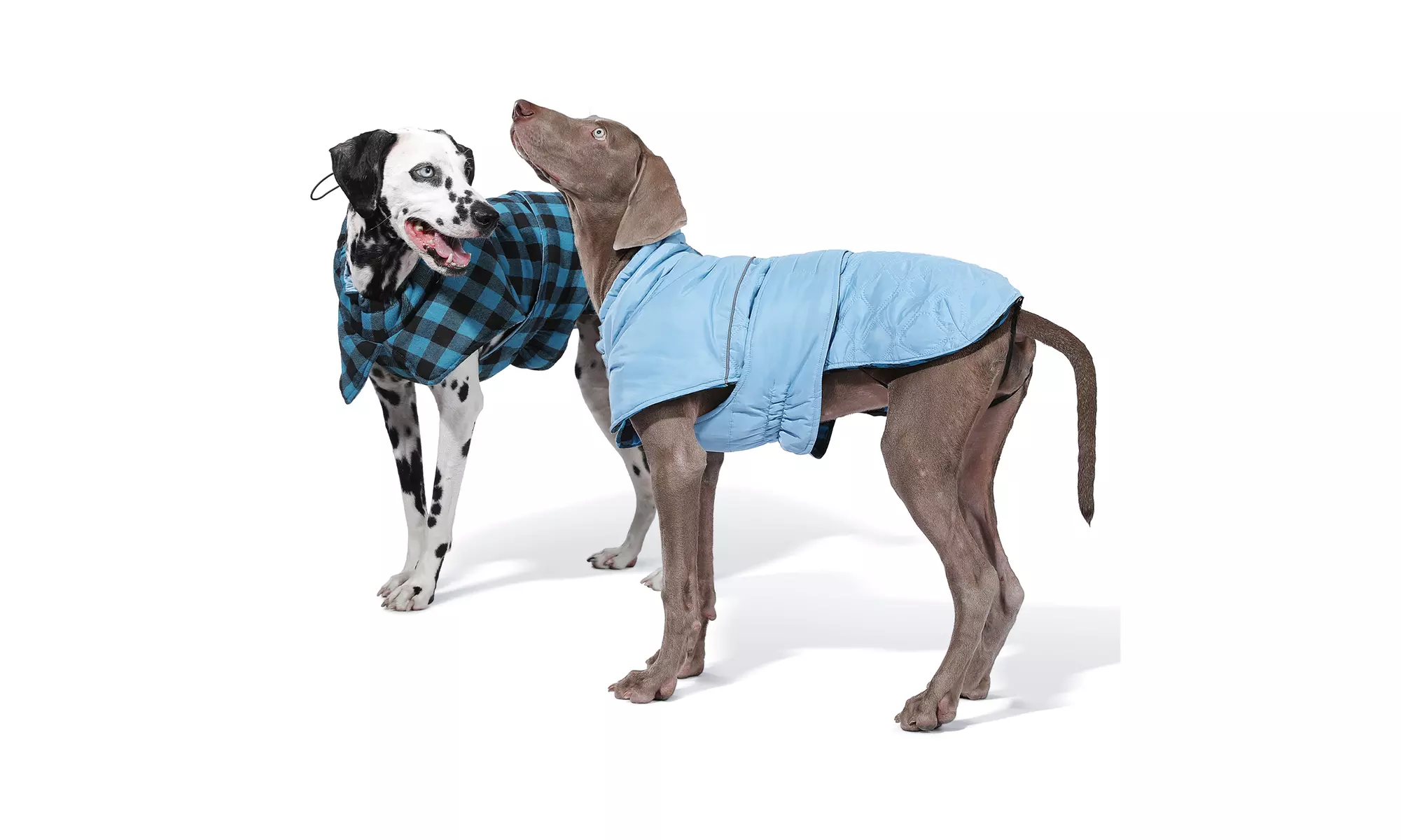 Water-Repellent Reversible Dog Winter Coat with Warm Secure Belt