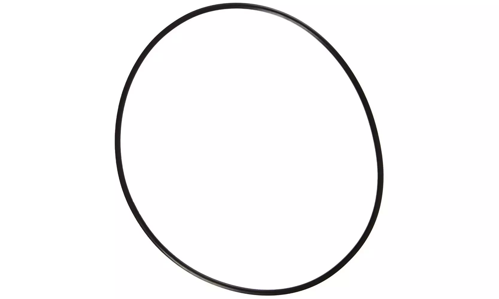 Pentair 271103 Cover O-Ring 1.5 In. - Primary Image