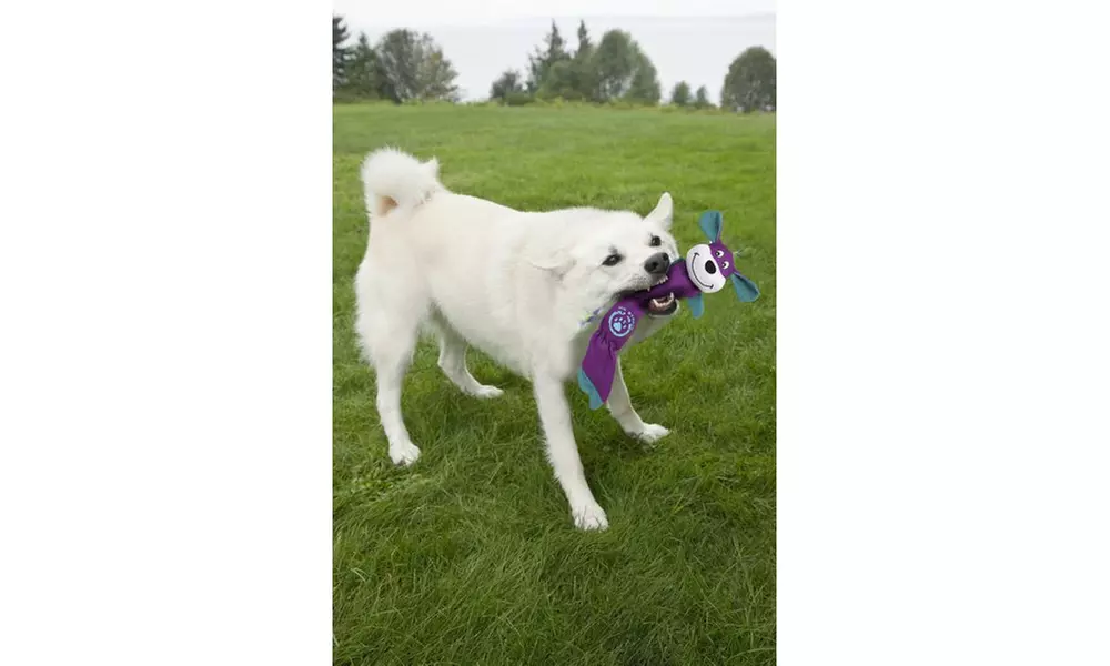 Pet Life Quilted Plush Squeak Chew Tugging Dog Toy - Second Medium