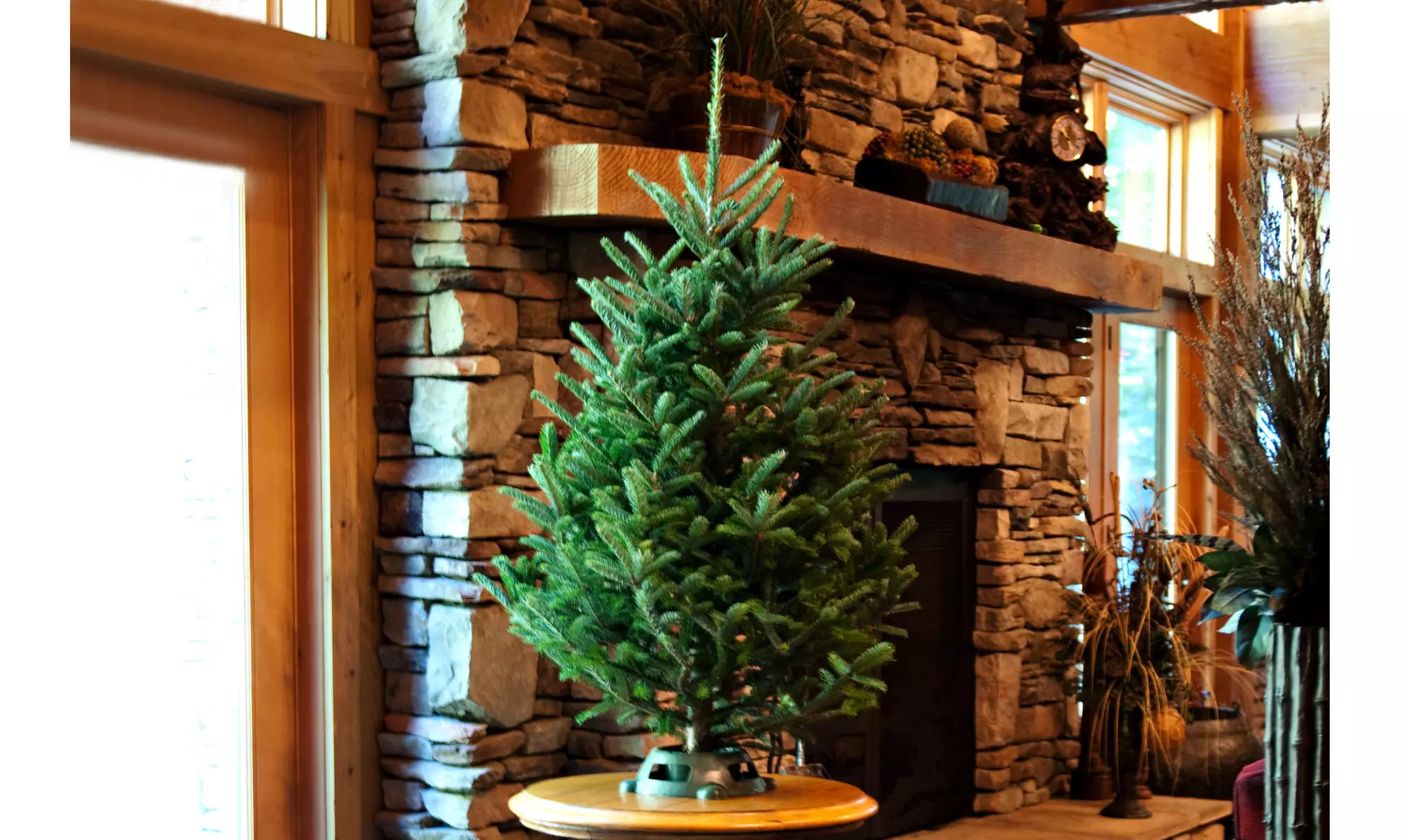 Table Top Christmas Tree with Stand Live Fresh Cut 3-4 Foot Holiday Tree  - Primary Image