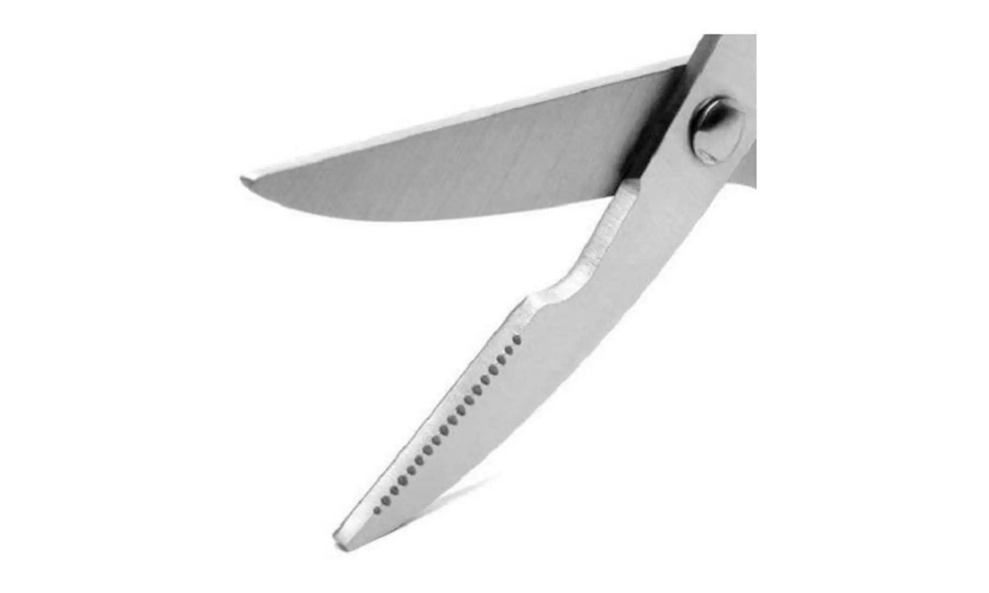 Steven Raichlen Best of Barbecue Signature Grilling Meat Shears - Primary Image
