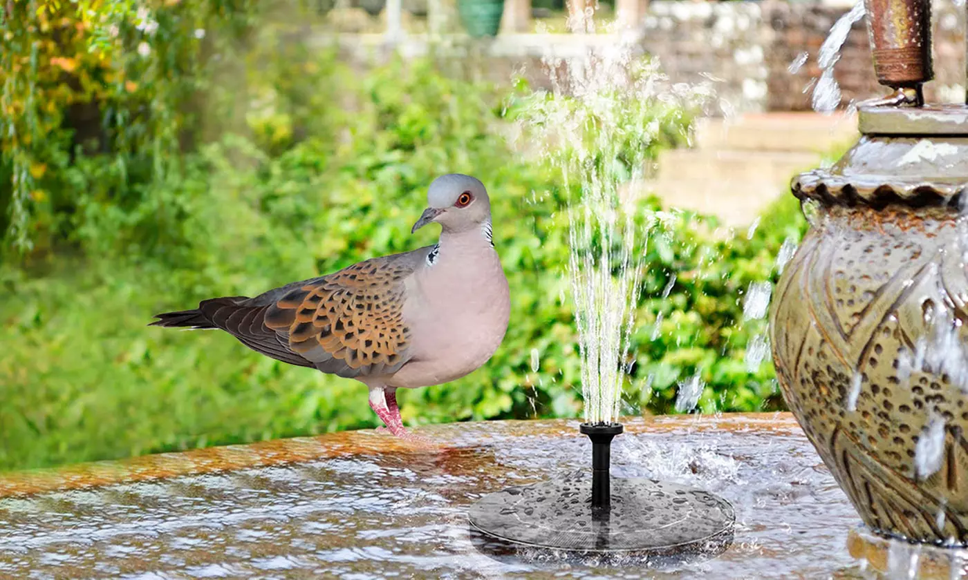 SolarEK Solar Powered Fountain Pump Floating Bird Bath Pond Pump w/ 6 Nozzles