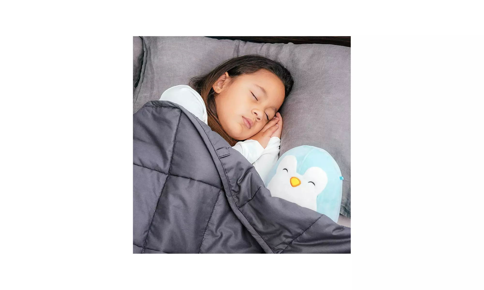Bed Buddy Grey Weighted Twin Size Blanket for Kids - Primary Image
