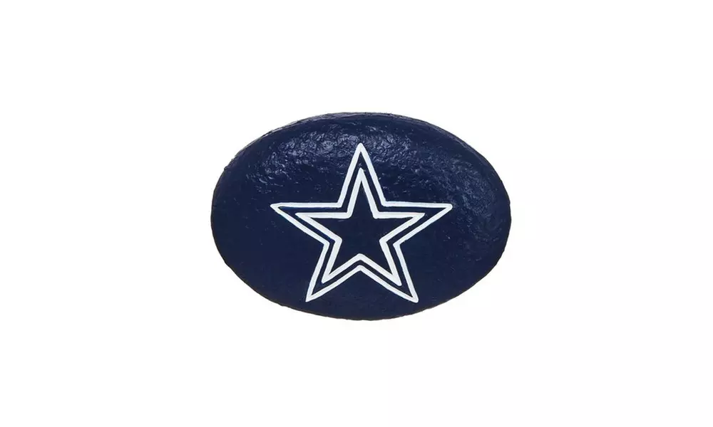 Team Sports America NFL Team Logo 3" x 2.25" Garden Rocks - Primary Image