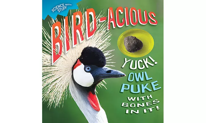 "SCIENCE WITH STUFF" 4-BOOK SET - Second Medium