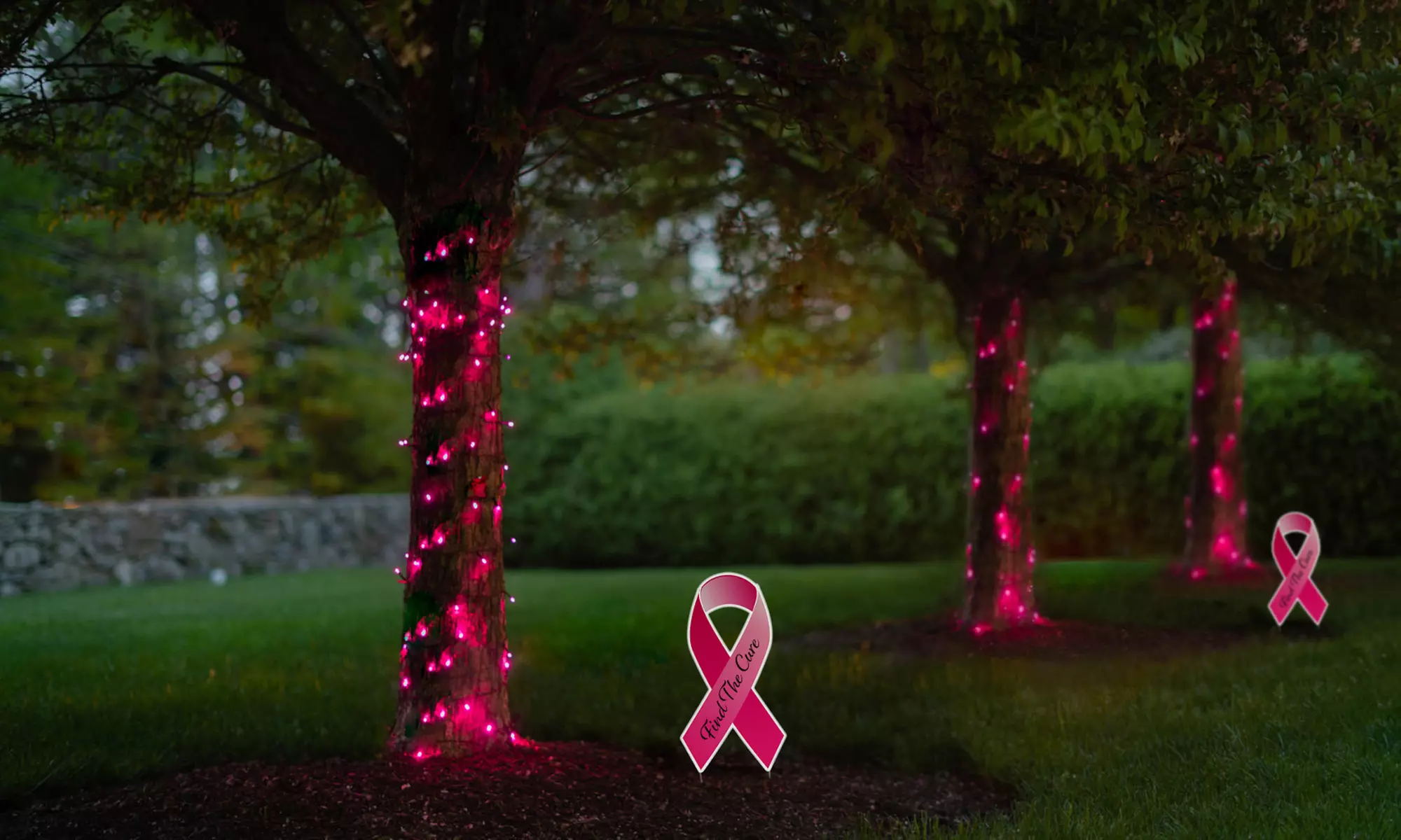 125LED Solar Powered String Lights. Multiple Colors & Quantities Available. 