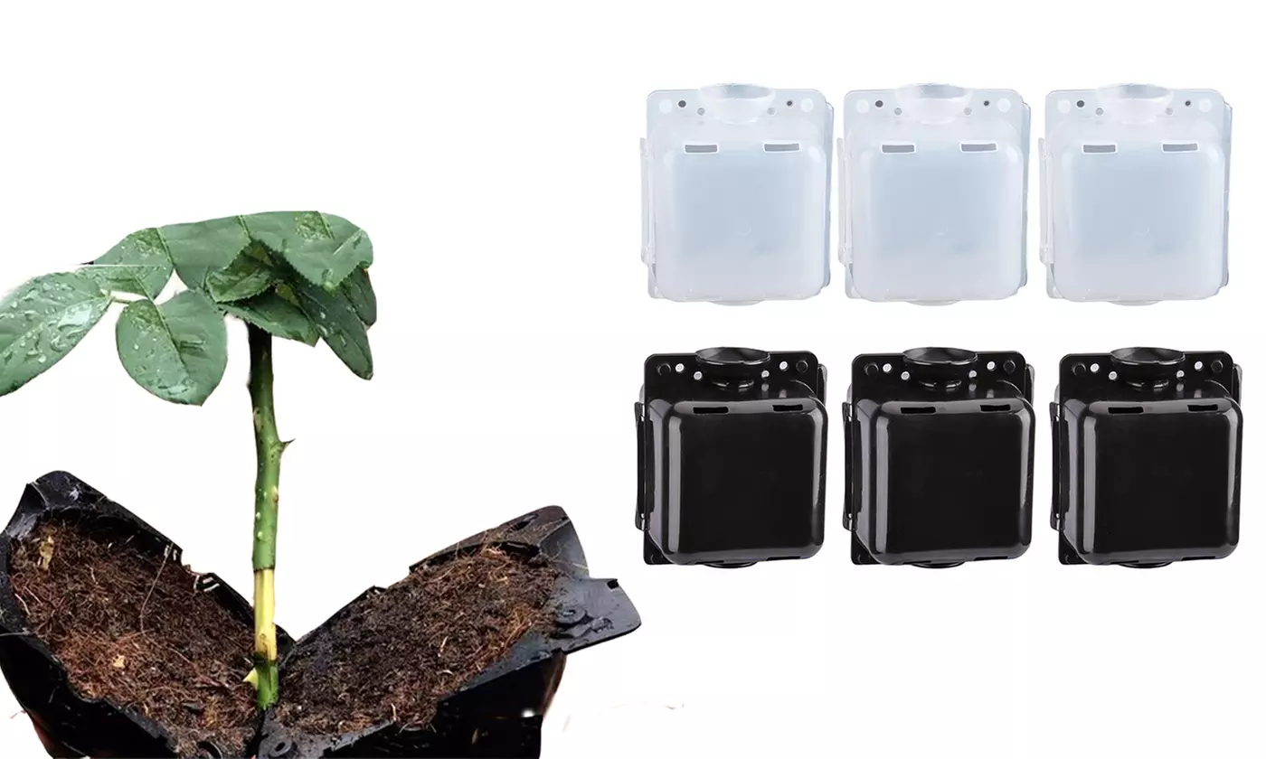 3pcs/set Plant Rooting Grow Box Plant Root Propagation Ball Container Grafting - Primary Image
