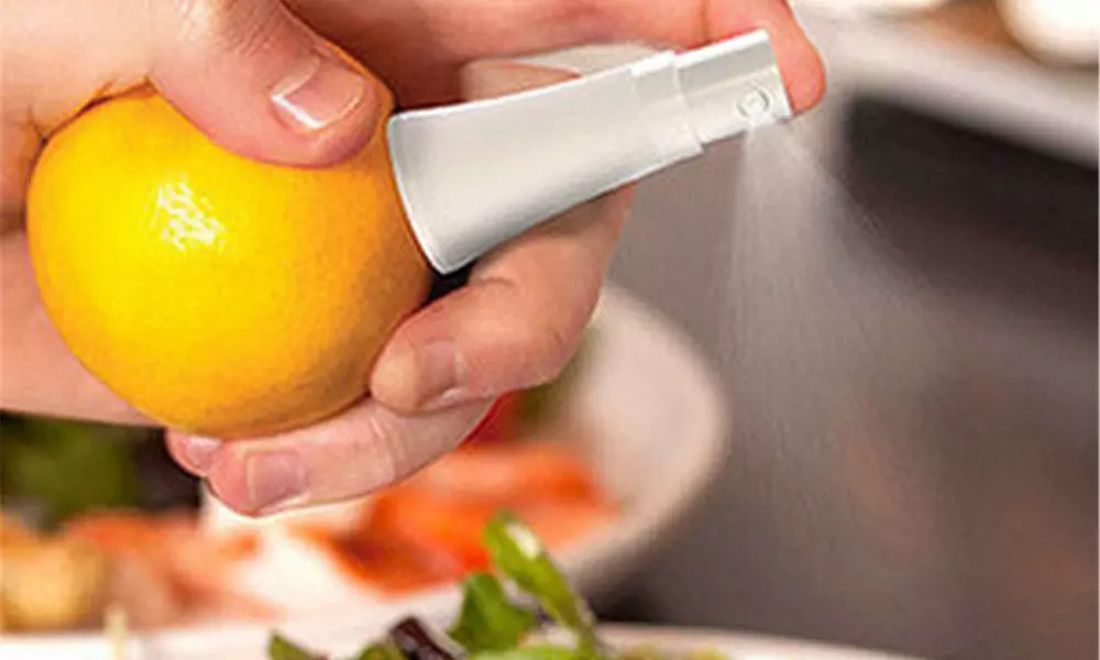 Mini Manual Citrus Sprayer - Second Medium