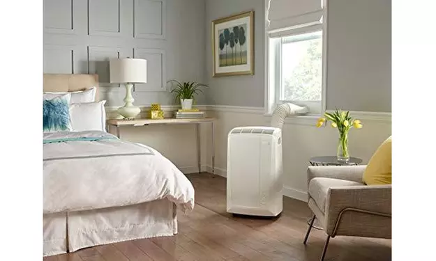 DeLonghi Pinguino 10,000 BTU ASHRAE 3 Speed Portable Air Conditioner with Remote - Second Medium