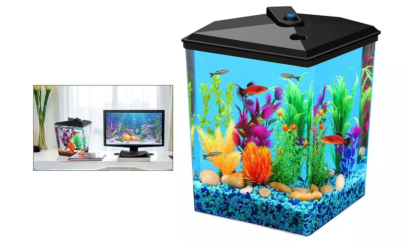 Amazing 1-Gallon Betta Aquarium Kit, LED Light, Power Filter And Betta Fish Tank - Primary Image