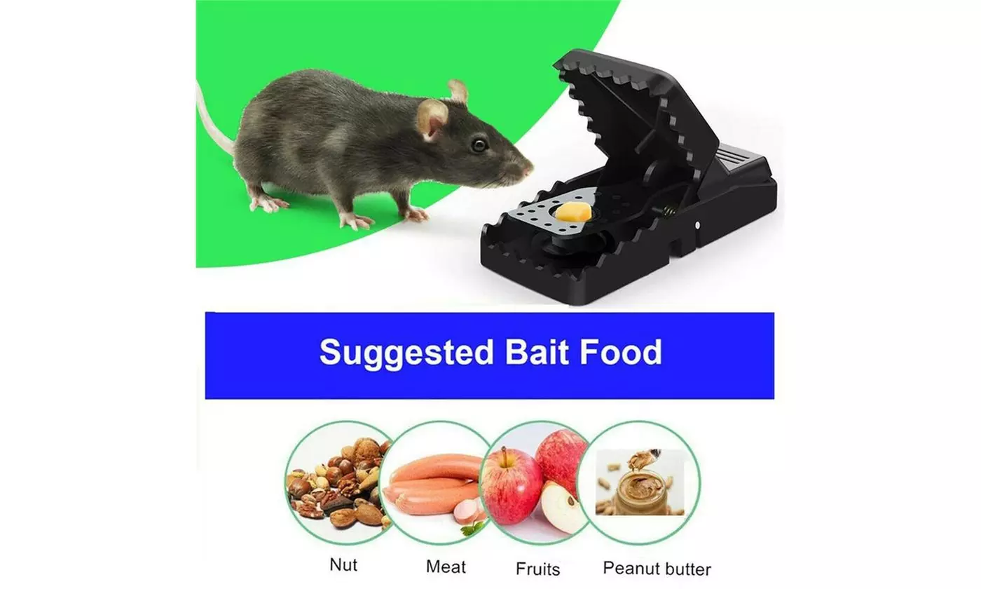 6-PACK Reusable MOUSE TRAPS Rat Trap Rodent Snap Trap Mice Trap Catcher Killer