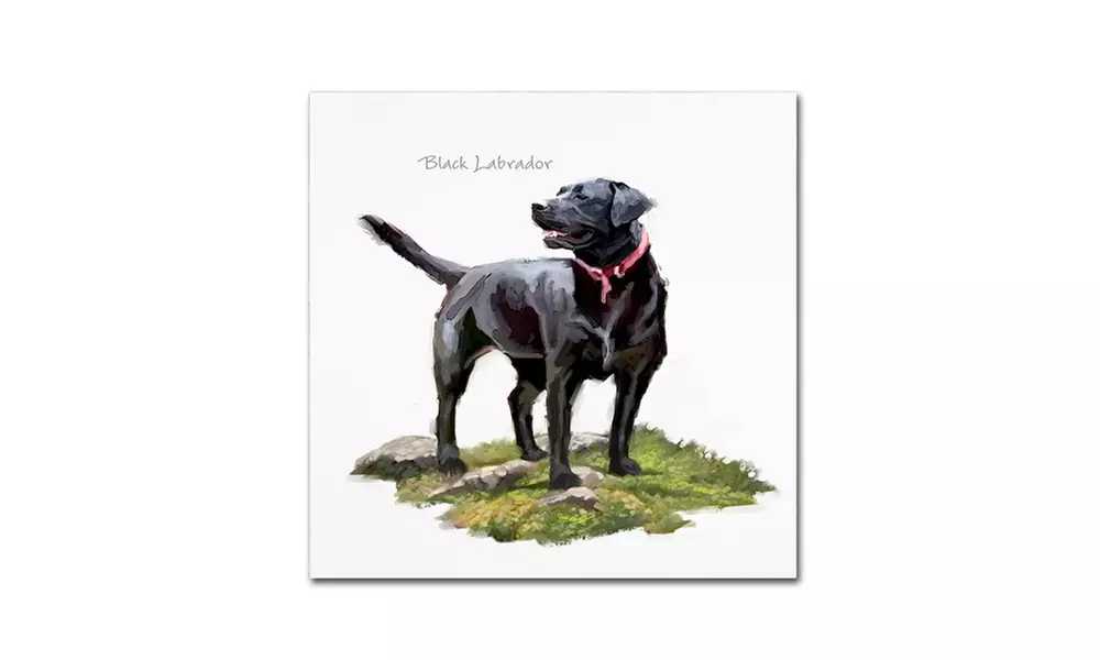 The Macneil Studio 'Black Labrador' Canvas Art - Second Medium