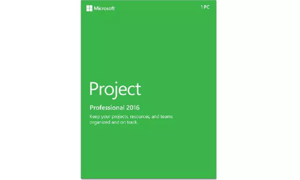 Microsoft Project Professional 2016 - Primary Image