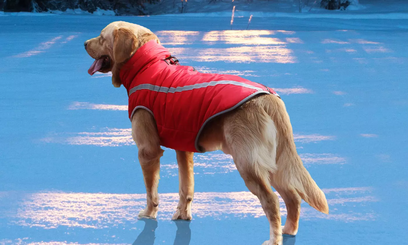 Waterproof Soft Fleece Lined Dog Vest Jacket Coat for Winter Outdoor Sports