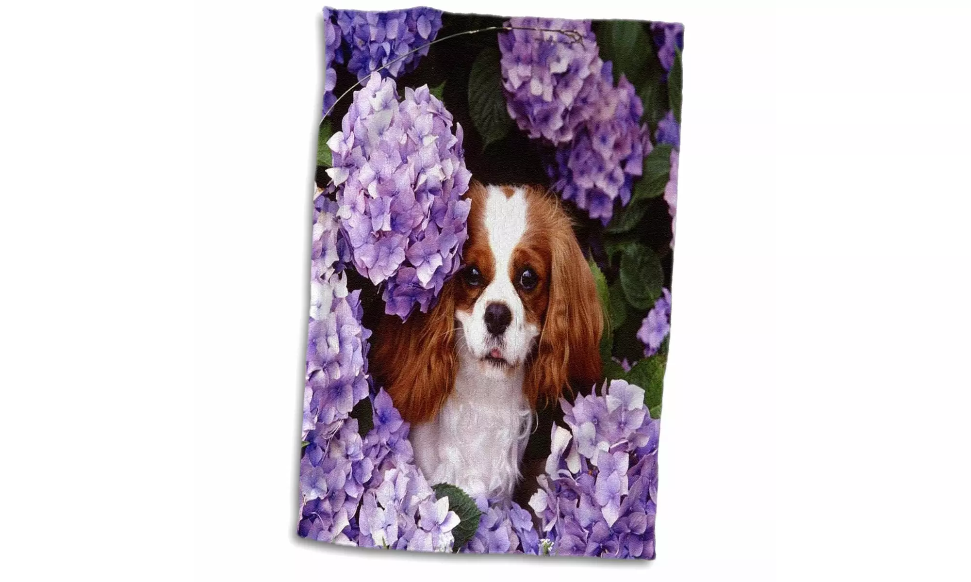  Towel - Cavalier King Charles Spaniel - 15 by 22-inches  - Second Medium