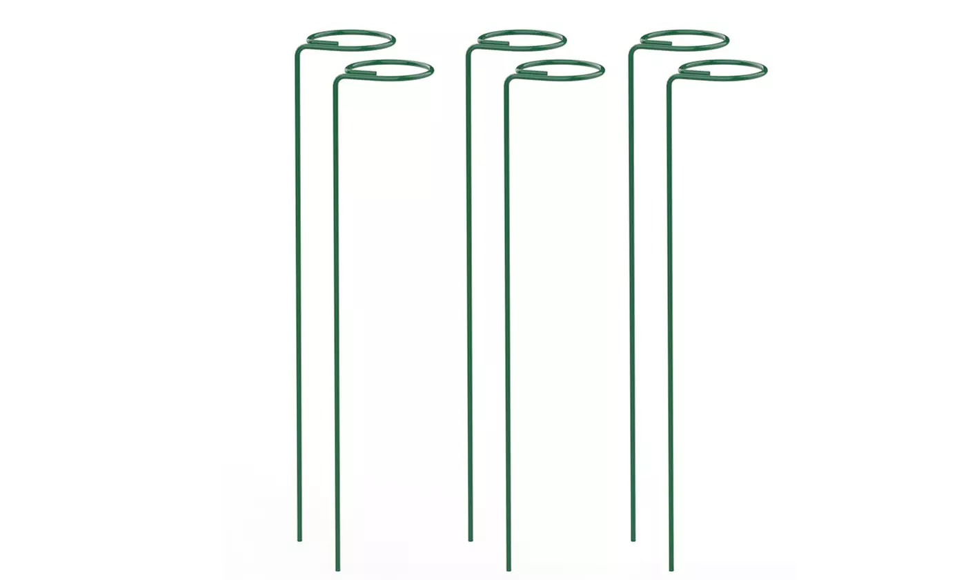 6 Pack Plant Stakes for Flowers Metal Single Stem Plant Support Rings 16 inch