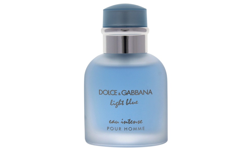 dolce gabbana light blue intense priceline