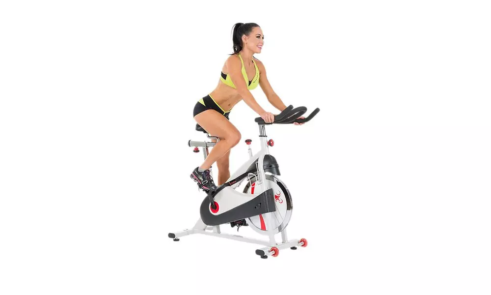 Sunny Health & Fitness SF-B1509 Belt Drive Premium Indoor Cycling Bike - Primary Image