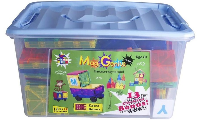 mag fun brain up magnetic blocks