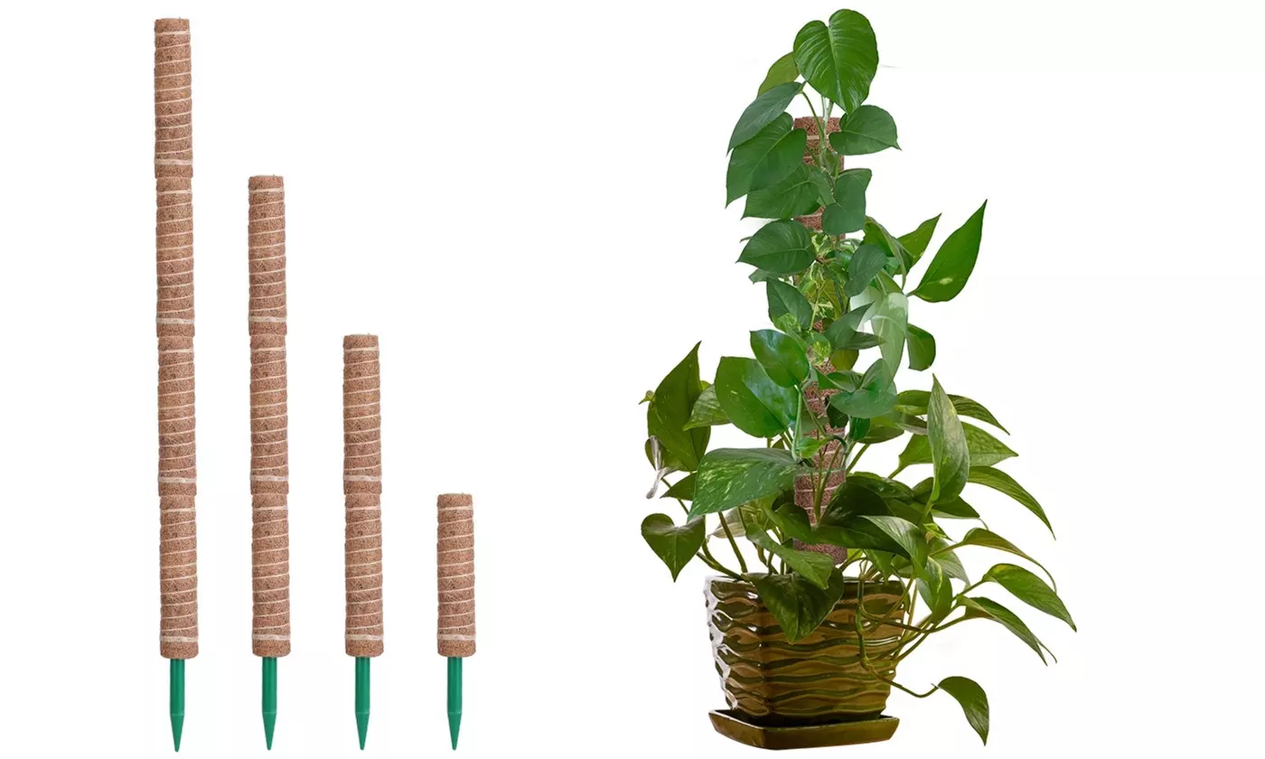 iMounTEK Coco Coir Extendable Moss Pole Climbing Plants Plant Supports (4-Pack) - Primary Image