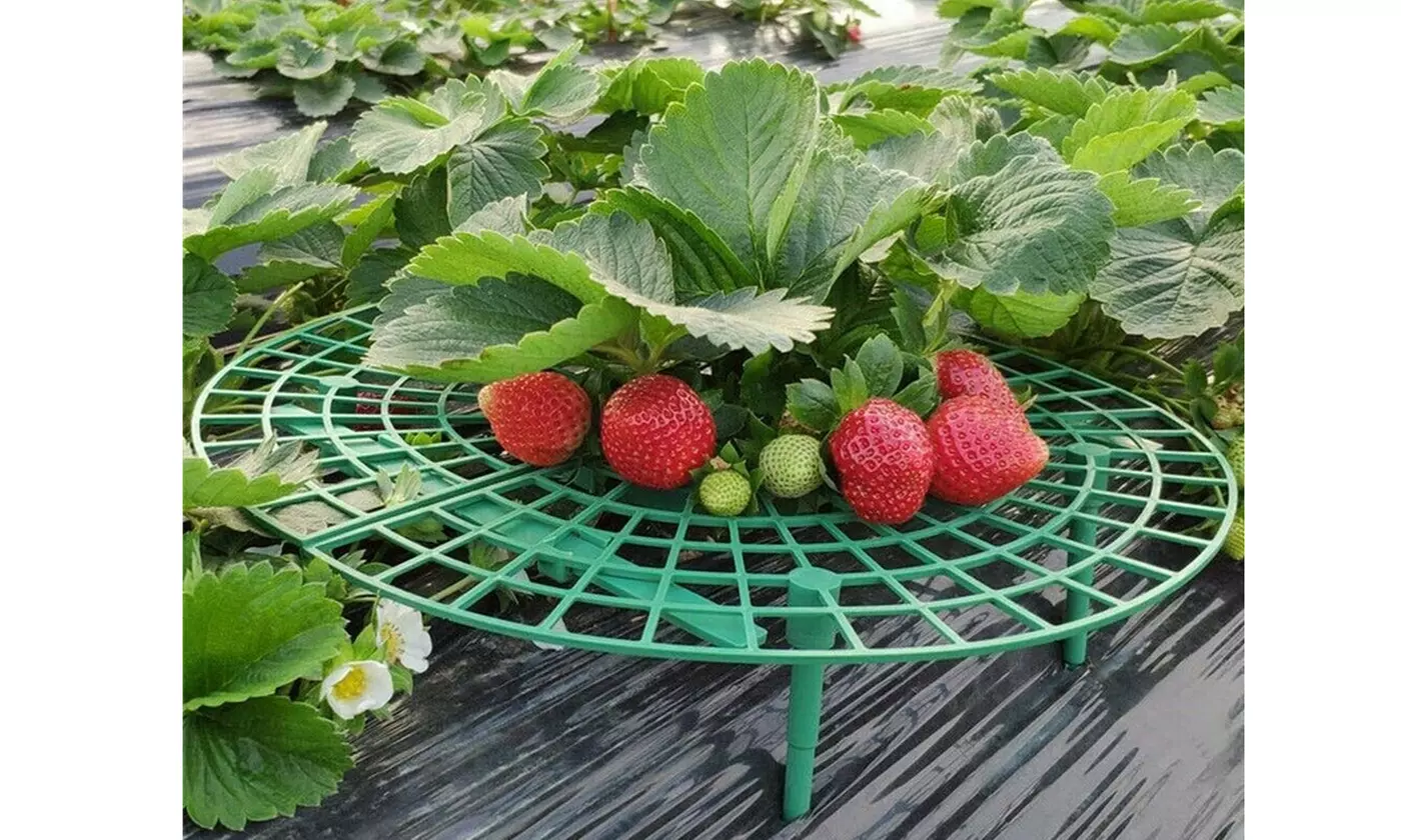 Strawberry Stand Frame Holder Balcony Planting Rack Fruit Support Adjustable - Second Medium
