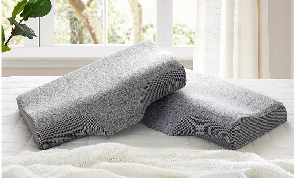 Peace Nest  2 Pack Cervical Memory Foam Contour Bed Pillows