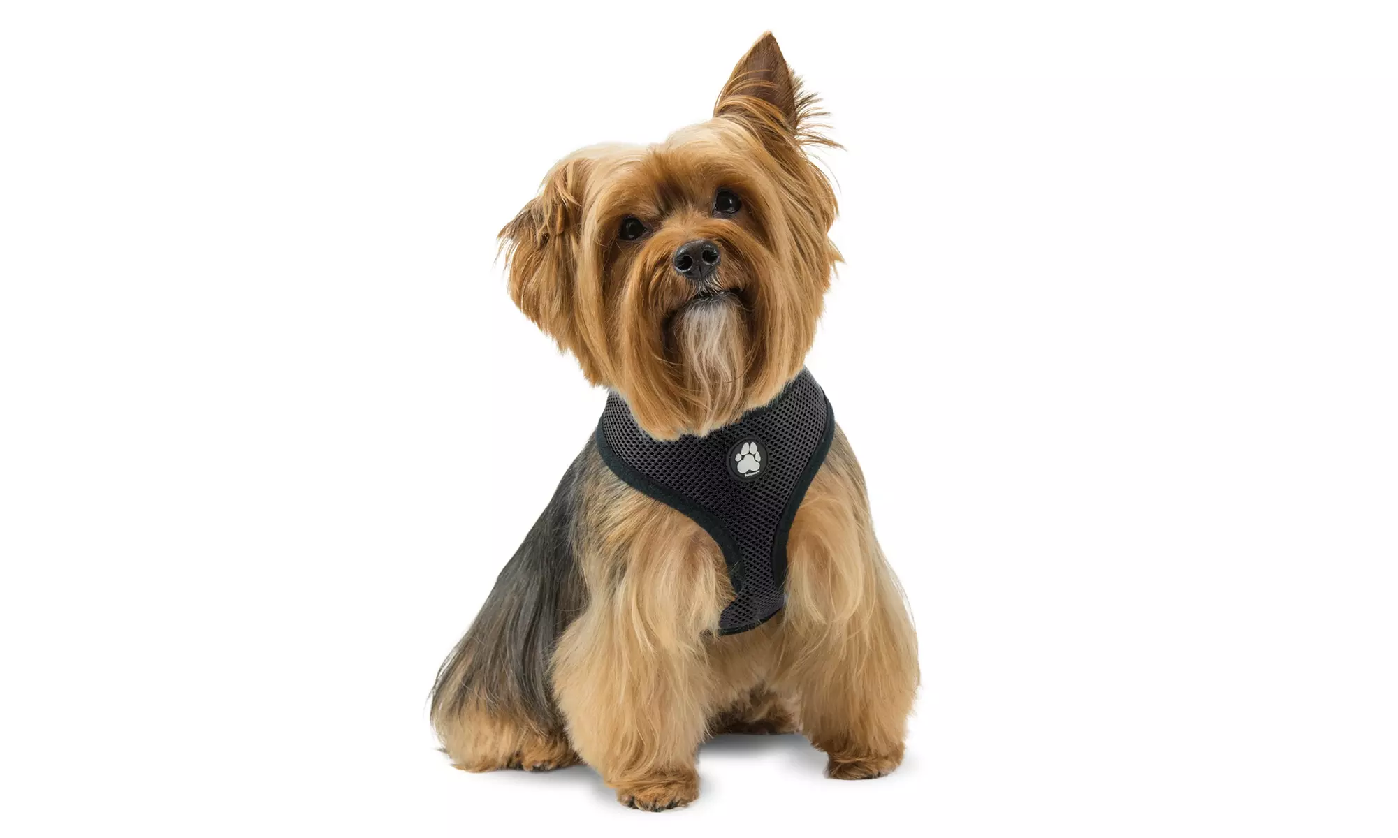 FurHaven Pet Easy Comfort Mesh Dog Harness