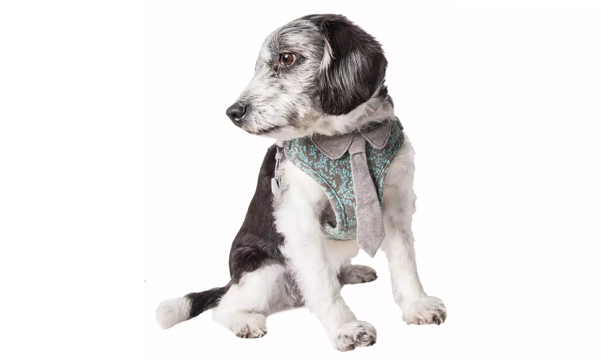 Pet Life 'Fidomite' Reversible And Adjustable Dog Harness with Tie - Primary Image